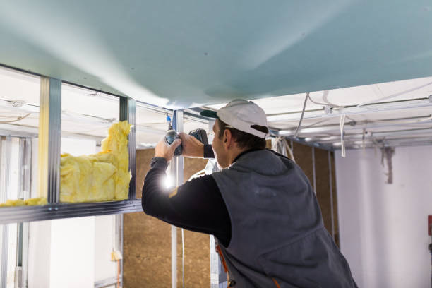 Best Insulation Repair Services  in New Richmond, OH