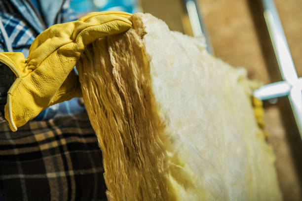 Best Insulation Contractor Near Me  in New Richmond, OH