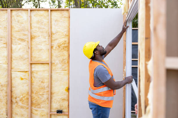 Best Home Insulation Services  in New Richmond, OH