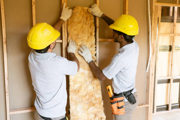 Best Cellulose Insulation  in New Richmond, OH