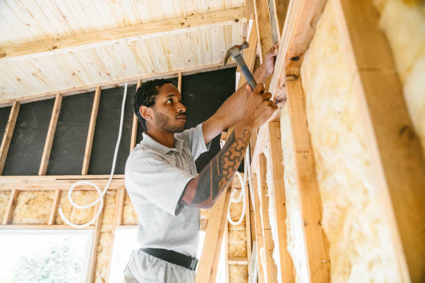 Best Attic Insulation Installation  in New Richmond, OH