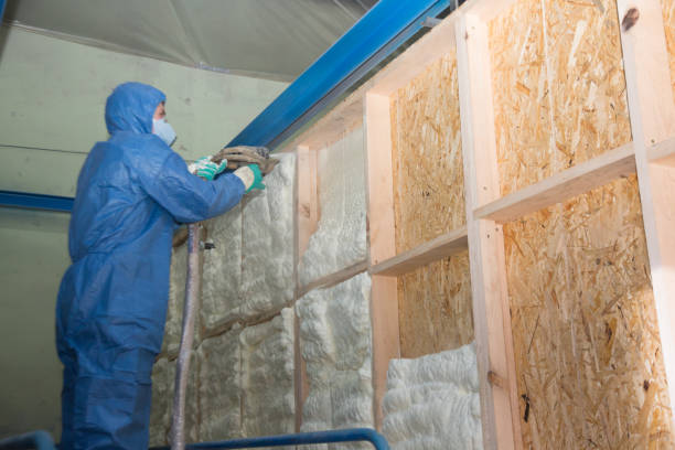 Best Wall Insulation Contractor  in New Richmond, OH