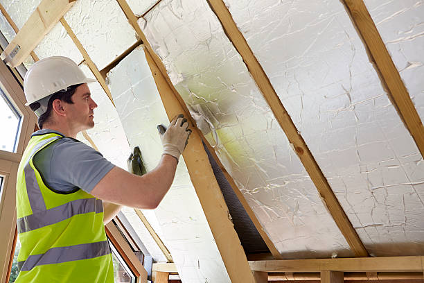 Best Garage Insulation Installation  in New Richmond, OH