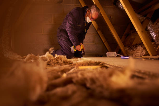 Best Insulation Replacement Services  in New Richmond, OH